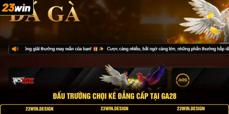Đá Gà 23WIN 3 Đấu trường chọi kê đẳng cấp tại GA28