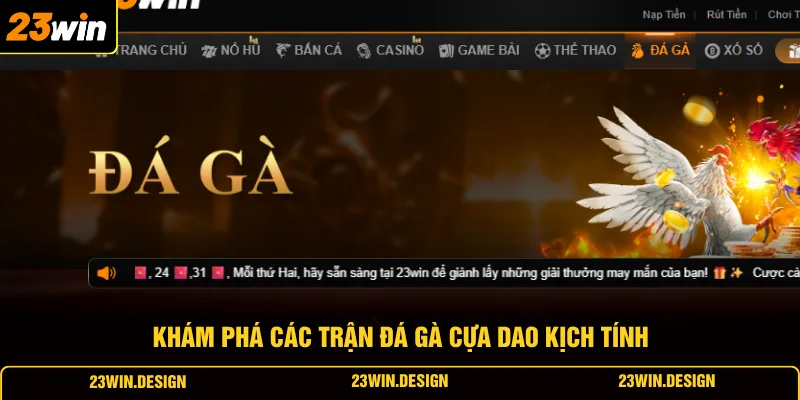 Đá Gà 23WIN 2 Khám phá các trận đá gà cựa dao kịch tính