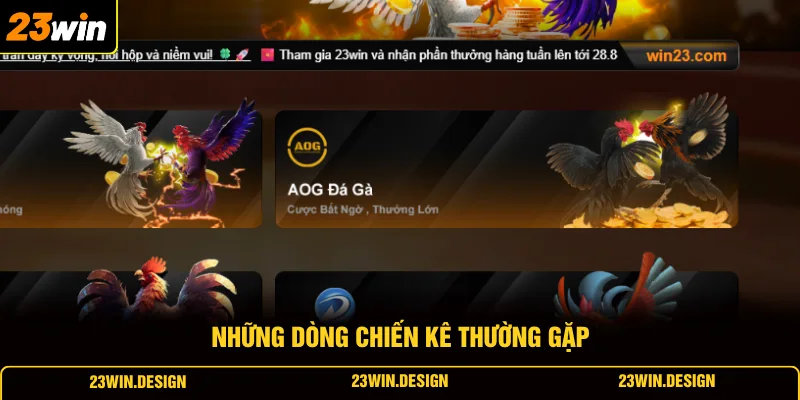 Đá Gà 23WIN 4 Những dòng chiến kê thường gặp