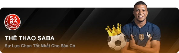 saba-sports-23win-design