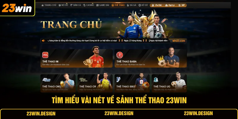 Thể Thao 23WIN 1 Tìm hiểu vài nét về sảnh thể thao 23WIN